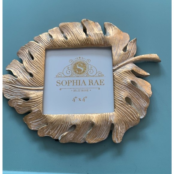 Sophia Rae Accents Sold Sold Sold9 X 6 2 Gold Leaf Picture Frame